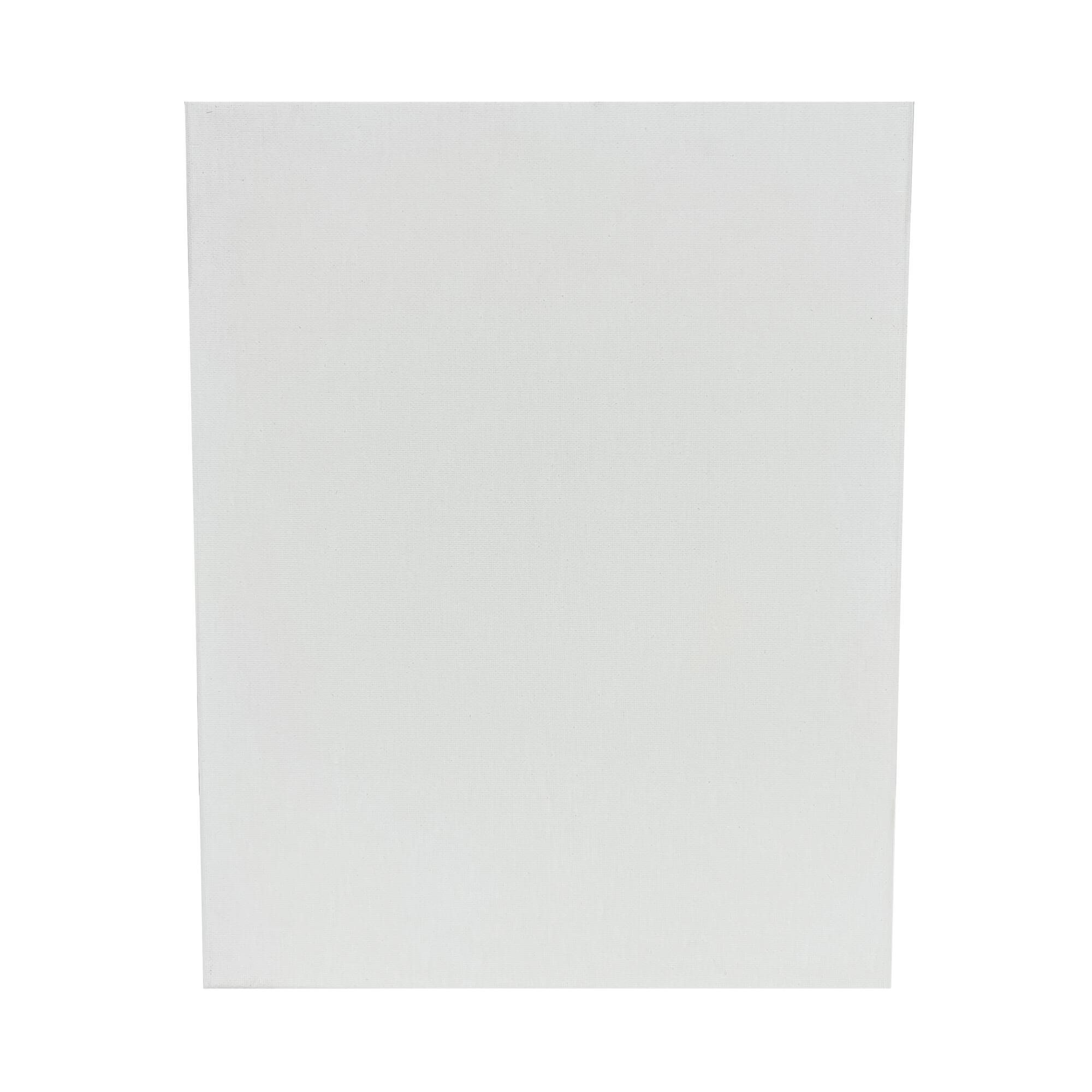 2 Pack Value Canvas by Artist's Loft